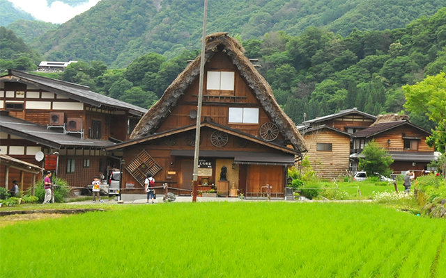 Du lịch Nhật Bản khám phá ngôi làng cổ Shirakawa-go và Gokayama