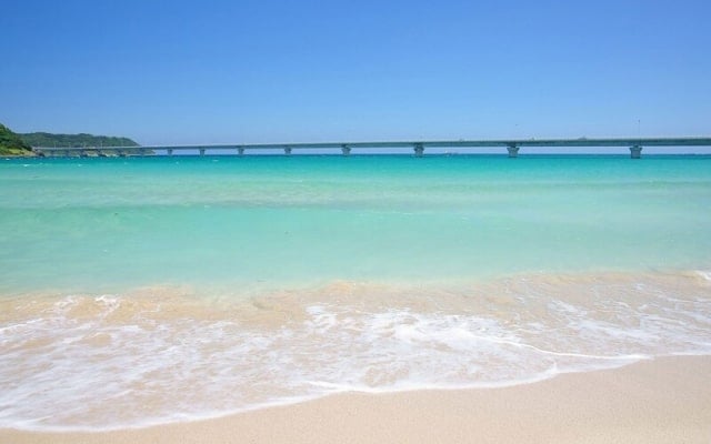 Du lịch đảo Tsunoshima - thiên đường nghỉ dưỡng nổi tiếng Nhật Bản