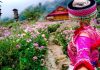 tour sapa