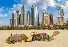 Tour du lịch Dubai giá bao nhiêu tiền? Các khoản chi phí cần thiết